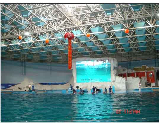 自贡游泳馆螺栓球网架